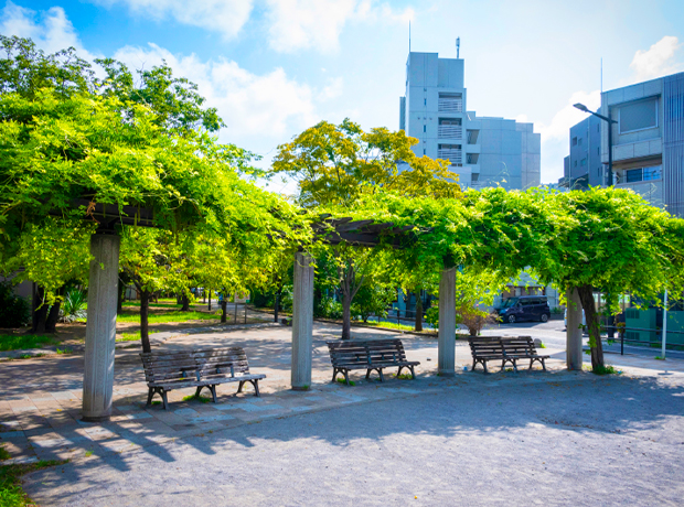新宿公園