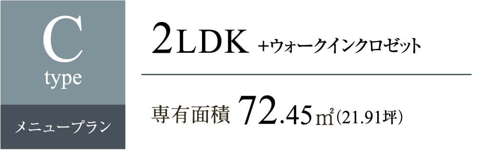 C2 MENUタイプ