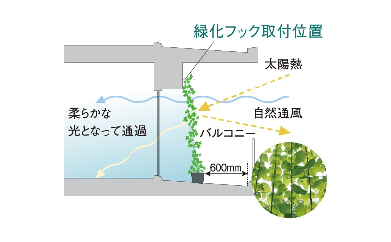 緑化フック