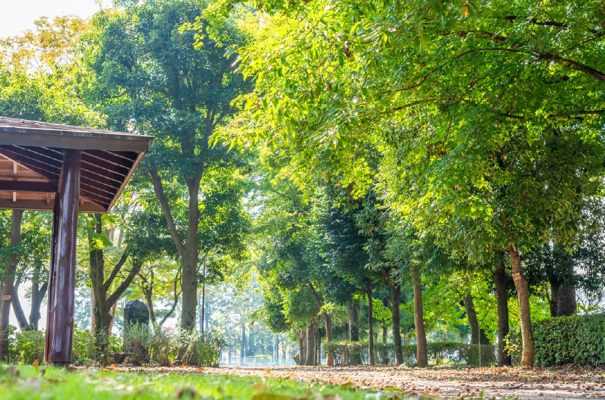 諏訪山公園