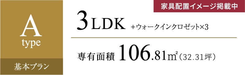 Aタイプ