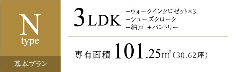 Nタイプ