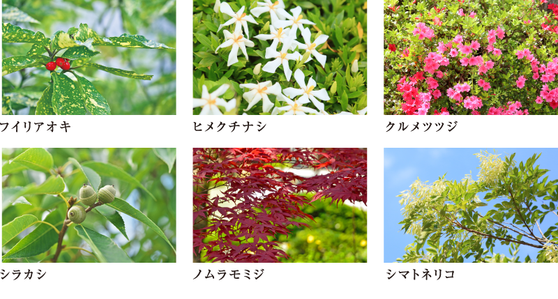 植栽計画