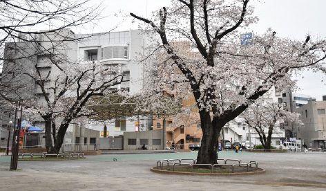 厚木公園