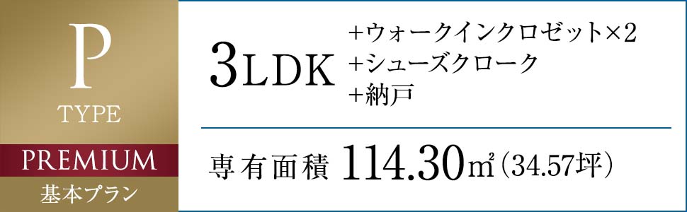 P TYPE