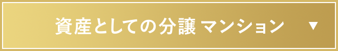 資産としての分譲のマンション