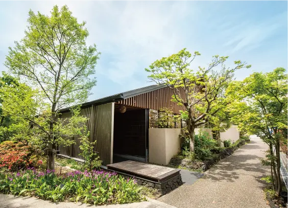 梅の花 さかい 利晶の杜店