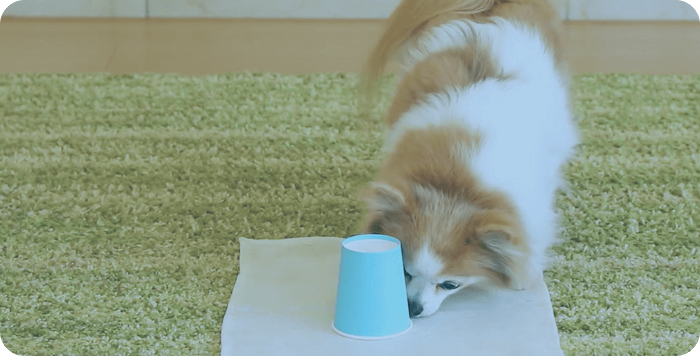 頭を使う遊び