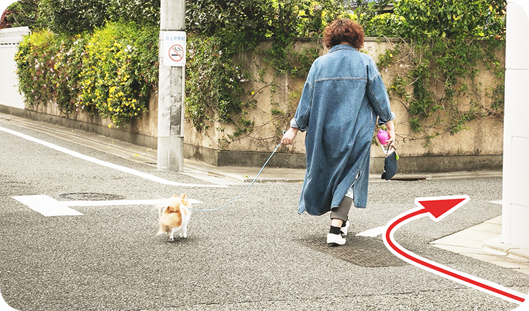 今日はこちら
