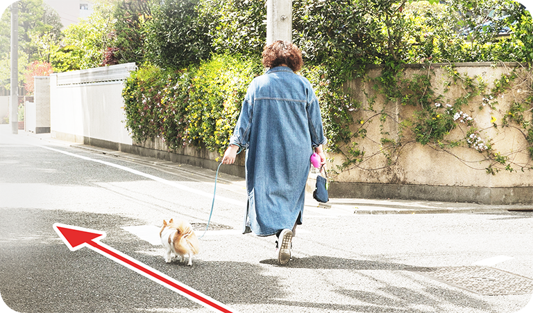 明日はこちら