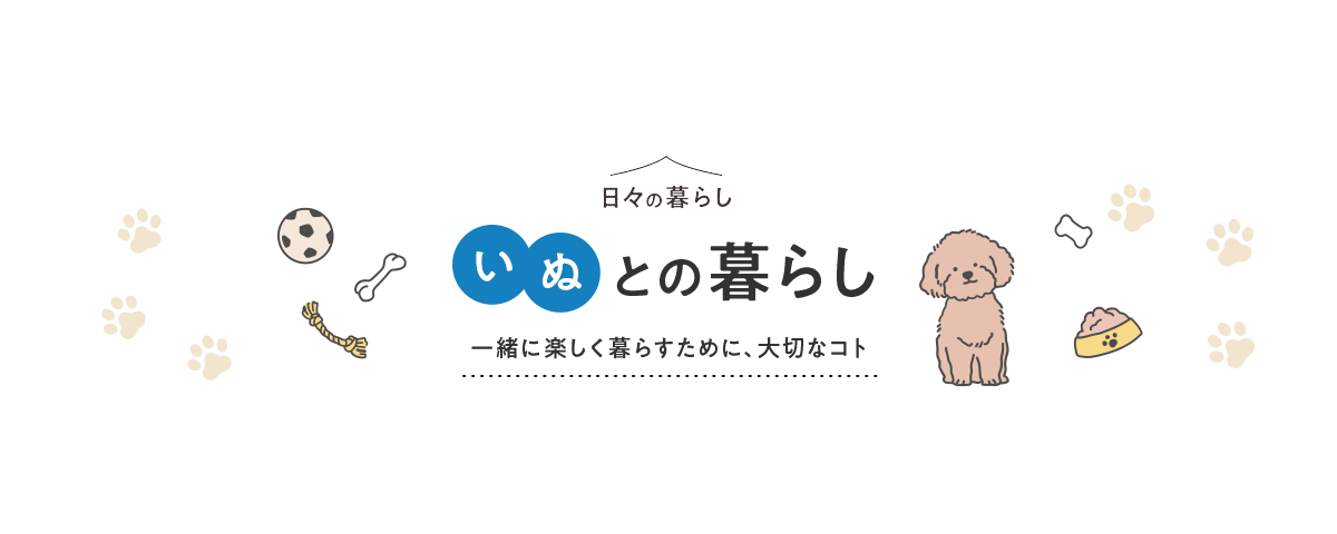 いぬとの暮らし：いぬとの新生活
