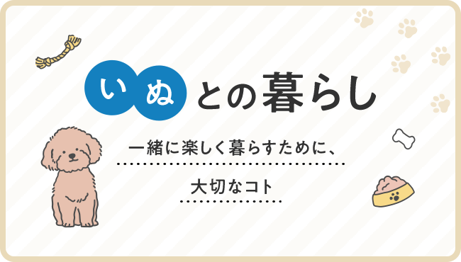 marimo column 01 いぬとの暮らし